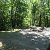 Review photo of George Washington State Campground by Thomas M., July 2, 2018