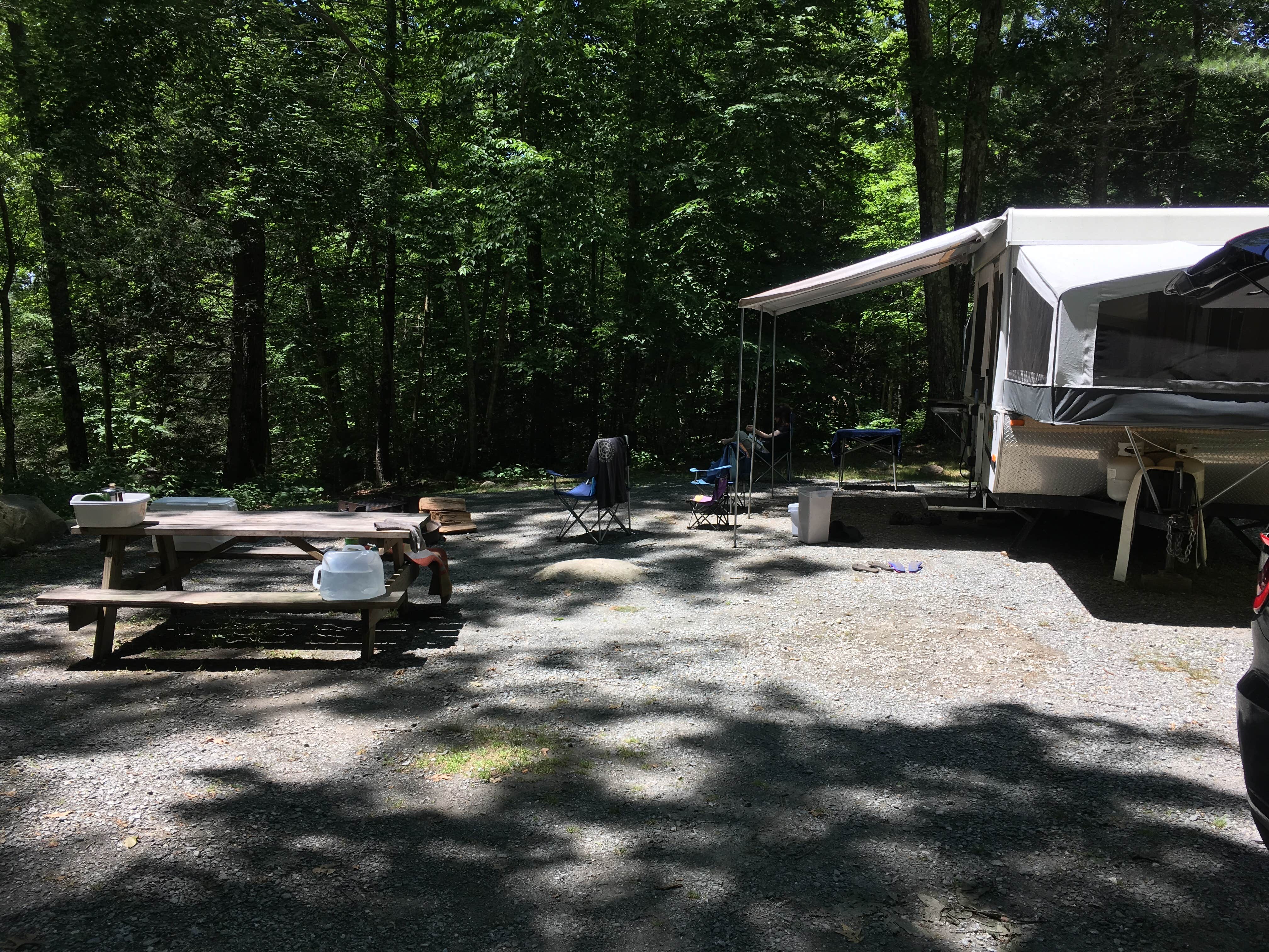 Camper submitted image from George Washington State Campground - 5