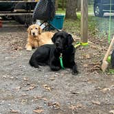 Review photo of Fort Frederick State Park Campground by adrian F., October 4, 2021