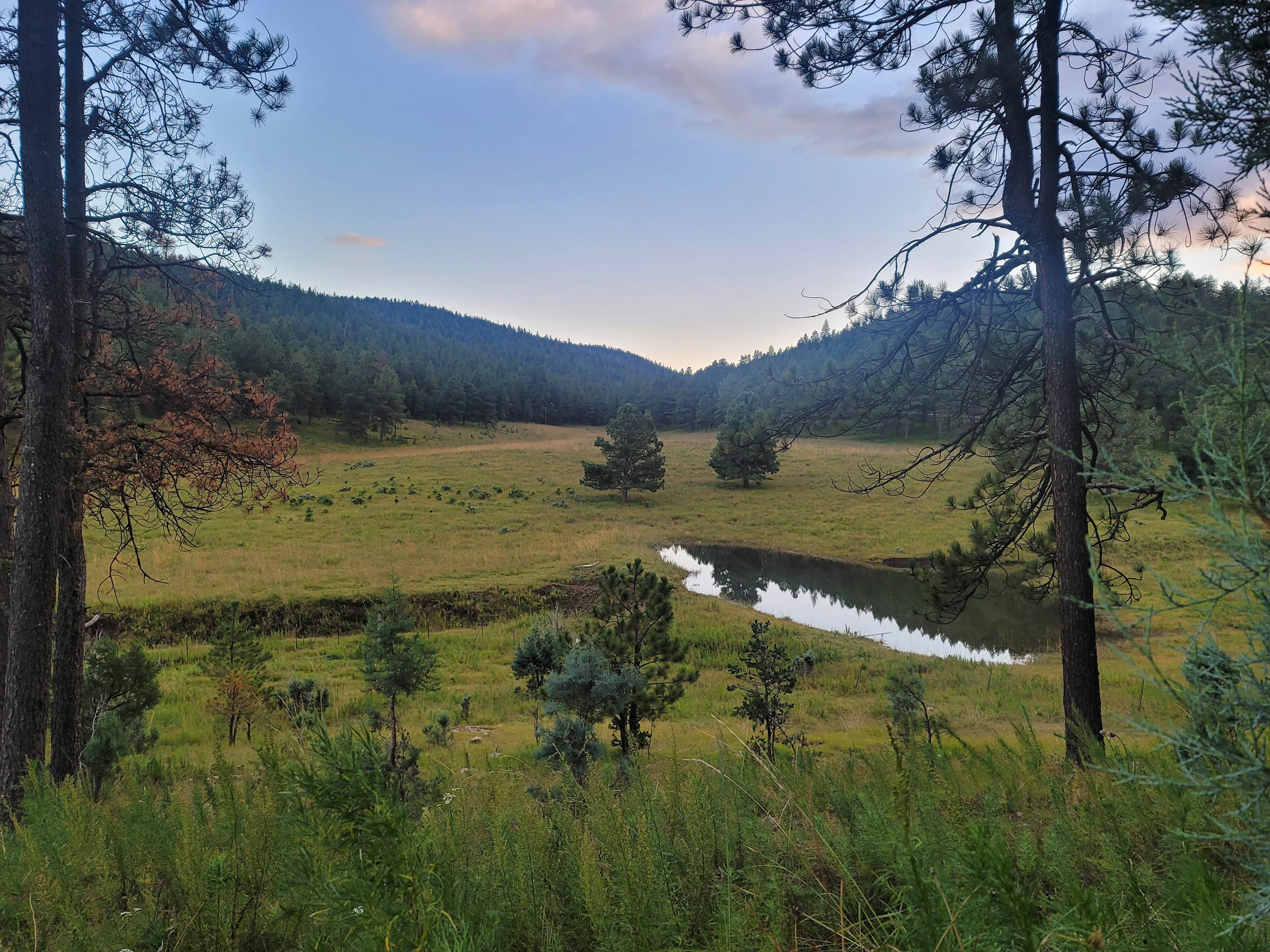 Camper-submitted photo at 16 Springs near Mayhill, NM