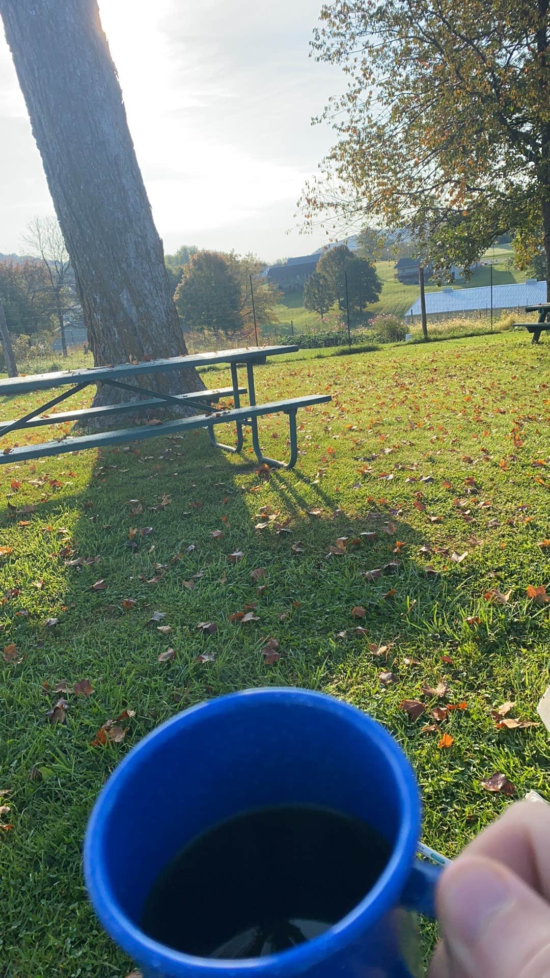 Camping near Blakey Hobbit Campground: La Farge City Park, La Farge, Wisconsin