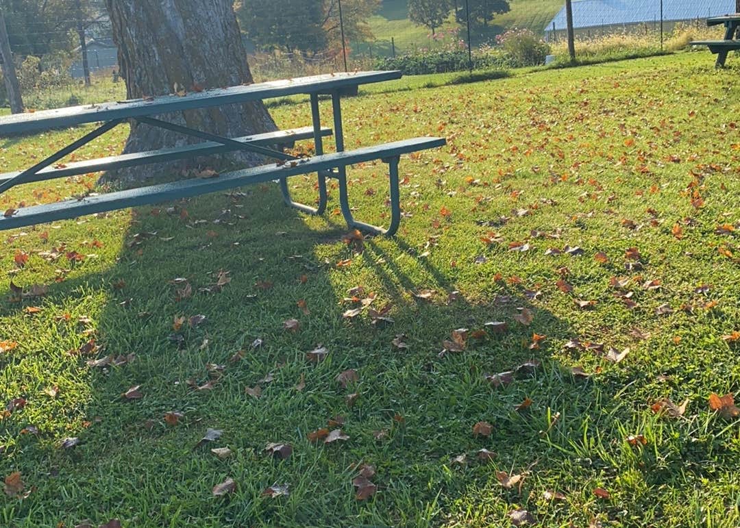 La Farge City Park Camping The Dyrt