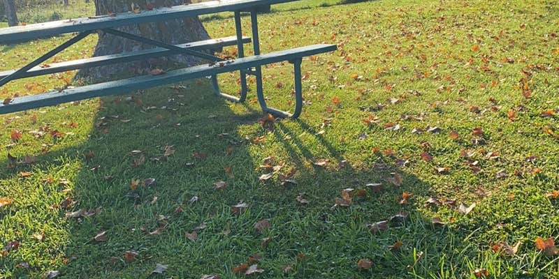 Camper submitted image from La Farge City Park