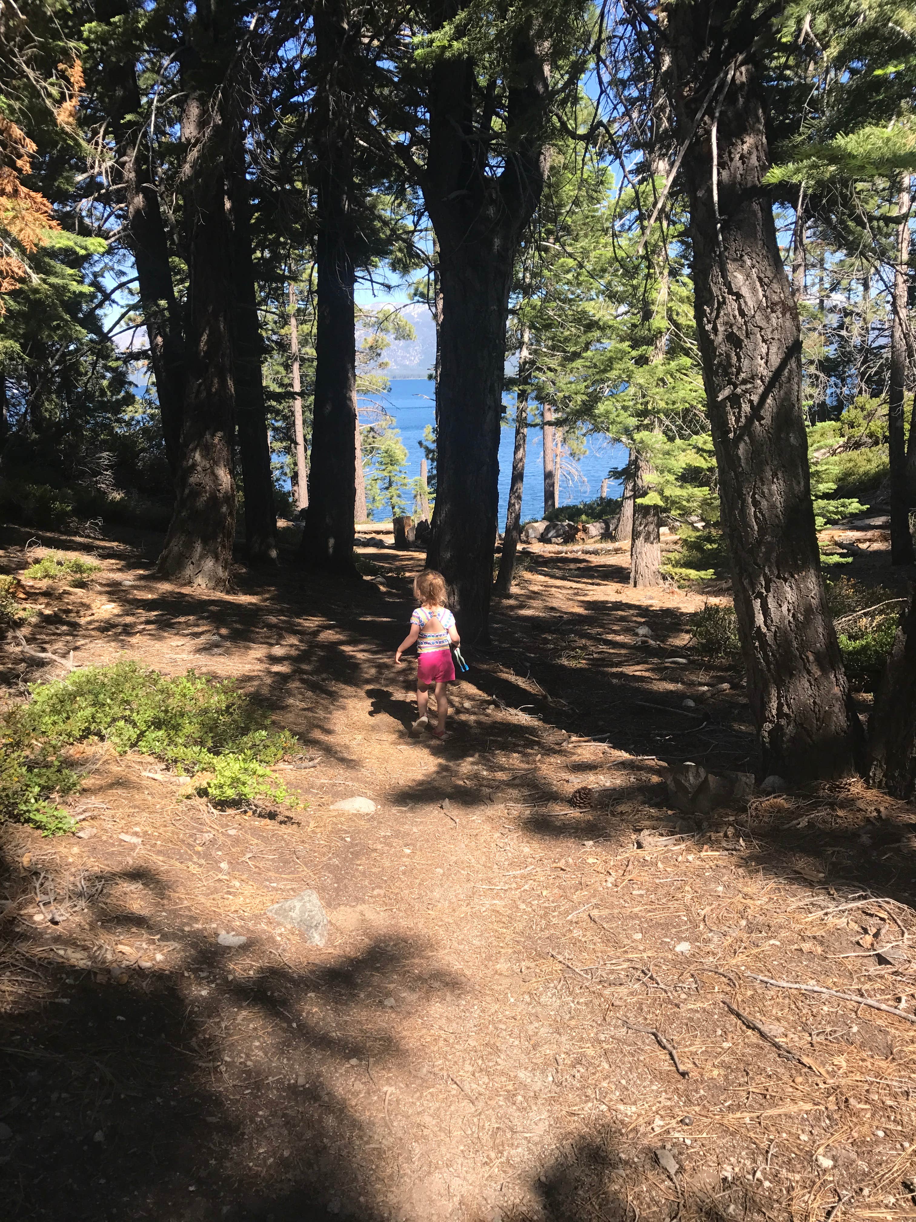 Camper submitted image from Eagle Point Campground — Emerald Bay State Park - 5