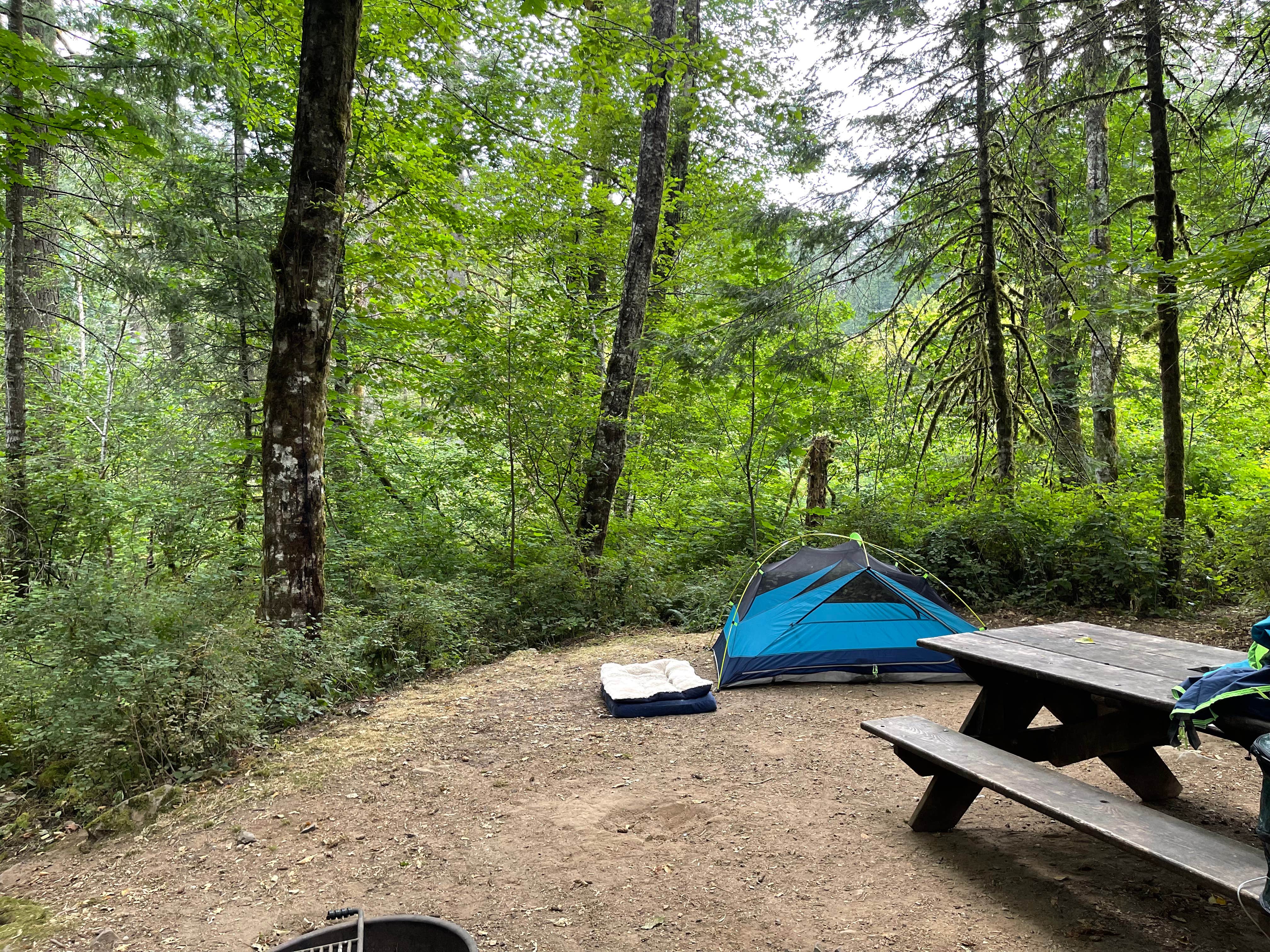 Taleah U.'s photo at Beacon Rock State Park Campground near Cascade Locks, OR