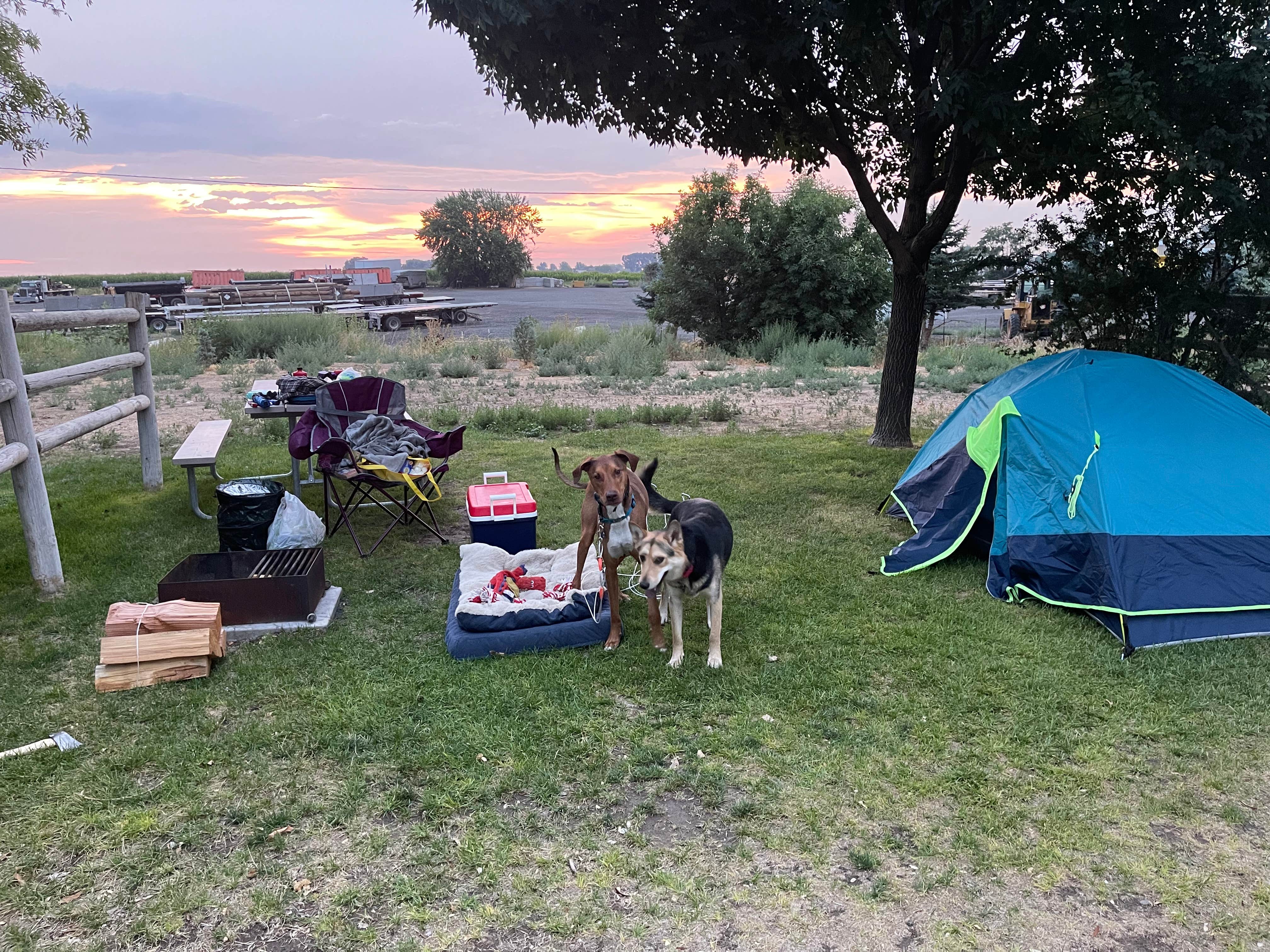 Taleah U.'s photo at Twin Falls-Jerome KOA near Murtaugh, ID
