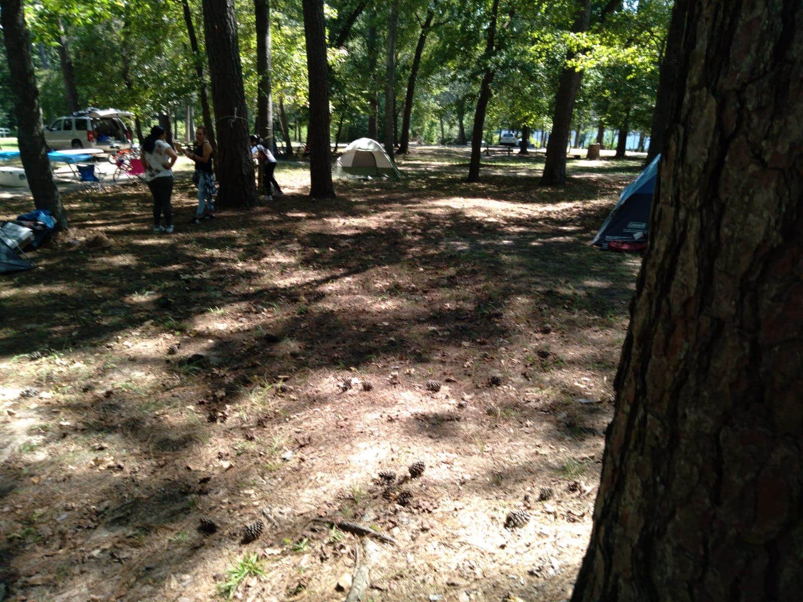 Carlos G.'s photo at Huntsville State Park Campground near Sam Houston National Forest