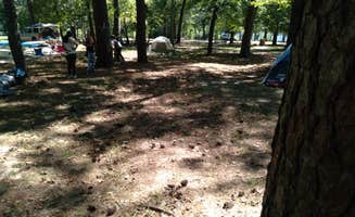 Carlos G.'s photo of tent camping at Huntsville State Park Campground near Montgomery, TX
