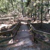 Review photo of Huntsville State Park Campground by Carlos G., October 4, 2021