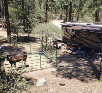 Camper-submitted photo from Groom Creek Horse Camp