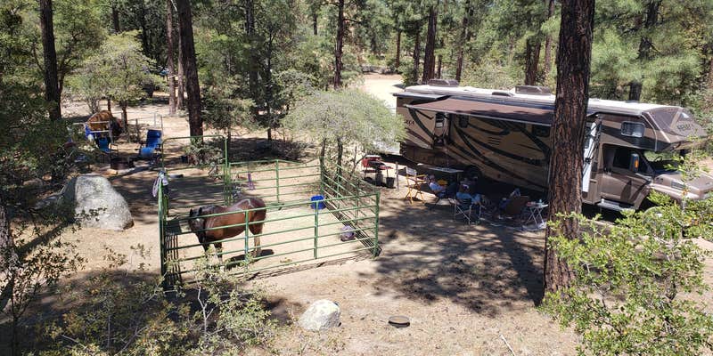 Camper submitted image from Groom Creek Horse Camp