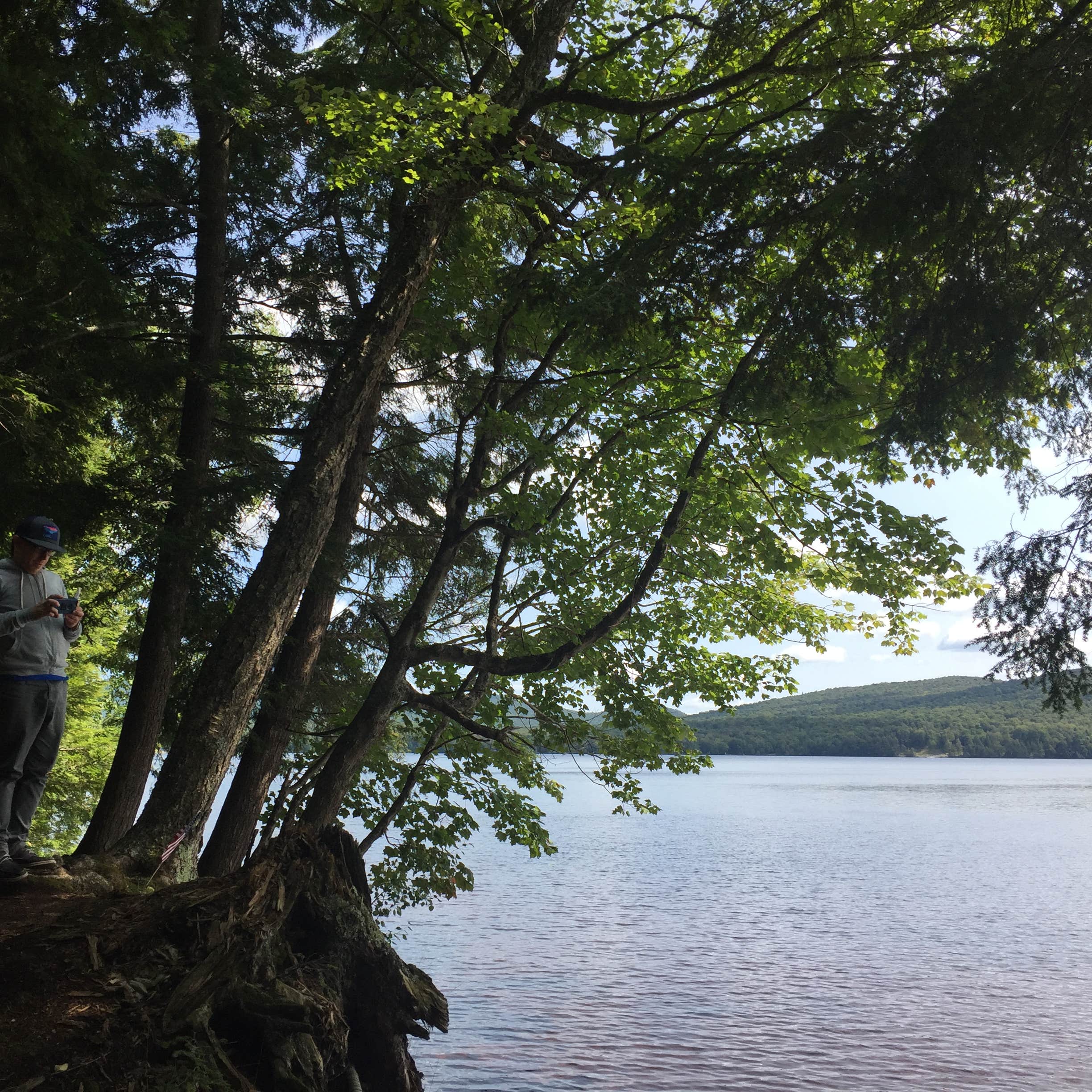 Meacham Lake Adirondack Preserve Camping | The Dyrt