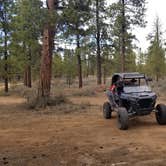 Review photo of Tom Best Spring Road FR117 Dispersed - Dixie National Forest by Joe B., October 4, 2021