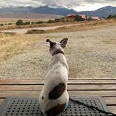 Review photo of Great Sand Dunes Oasis by Victoria R., October 5, 2021