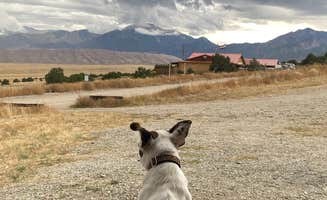 Victoria R.'s photo of camping with pets at Great Sand Dunes Oasis near Great Sand Dunes National Park And Preserve