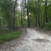 Review photo of Codorus State Park Campground by Casey L., October 5, 2021