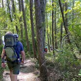 Review photo of Codorus State Park Campground by Casey L., October 5, 2021