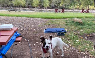 Victoria R.'s photo of camping with pets at Dolores River RV Resort by Rjourney near Cortez, CO