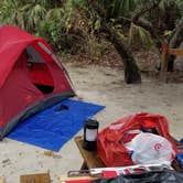 Review photo of Anastasia State Park Campground by A Guy from Earth , October 5, 2021