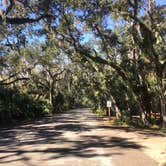 Review photo of Anastasia State Park Campground by A Guy from Earth , October 5, 2021