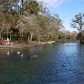 Review photo of Wekiwa Springs State Park Campground by A Guy from Earth , October 5, 2021