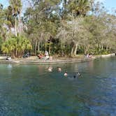 Review photo of Wekiwa Springs State Park Campground by A Guy from Earth , October 5, 2021