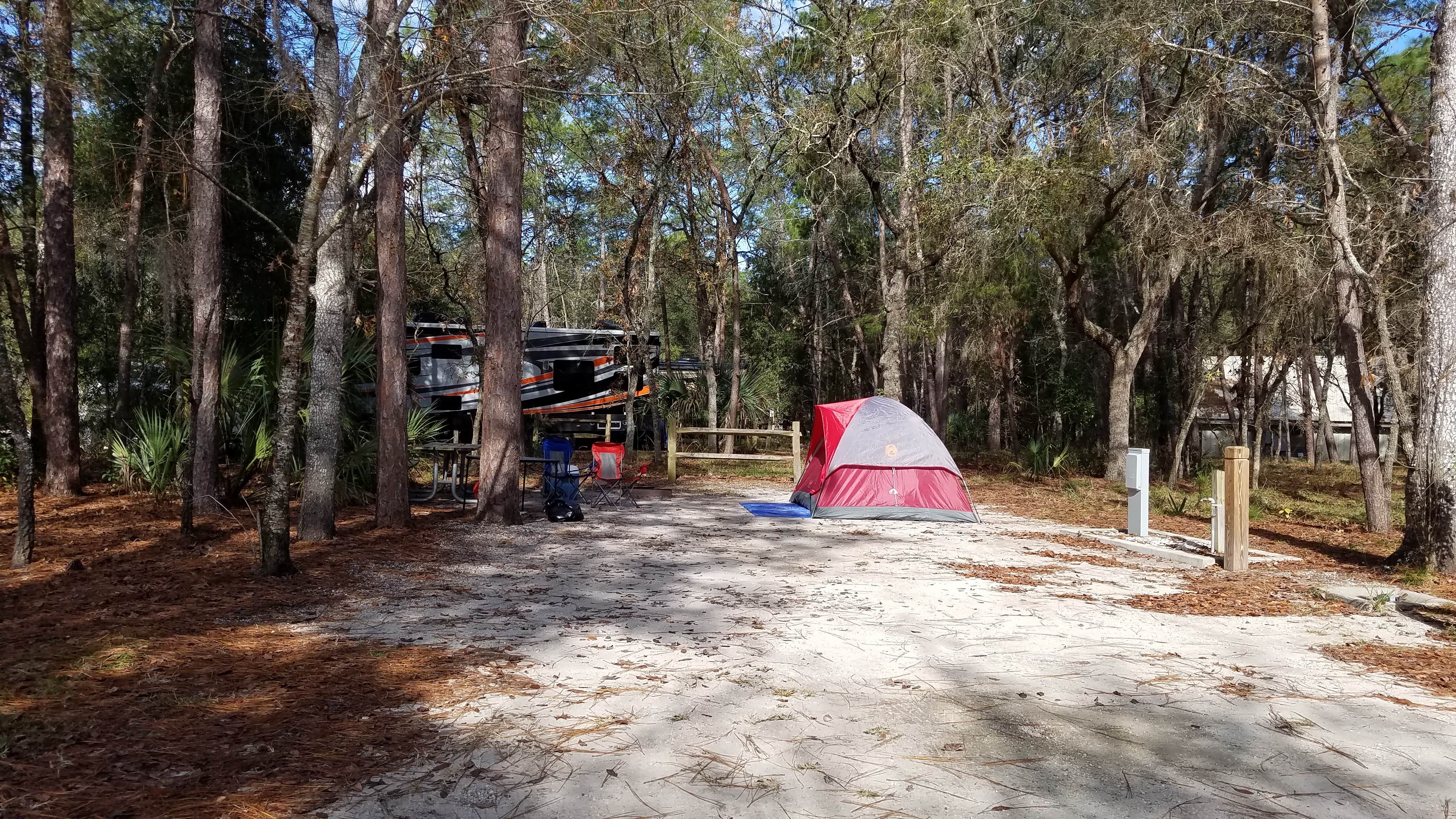 A Guy from Earth's photo at Wekiwa Springs State Park Campground near Casselberry, FL