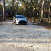 Review photo of Wekiwa Springs State Park Campground by A Guy from Earth , October 5, 2021