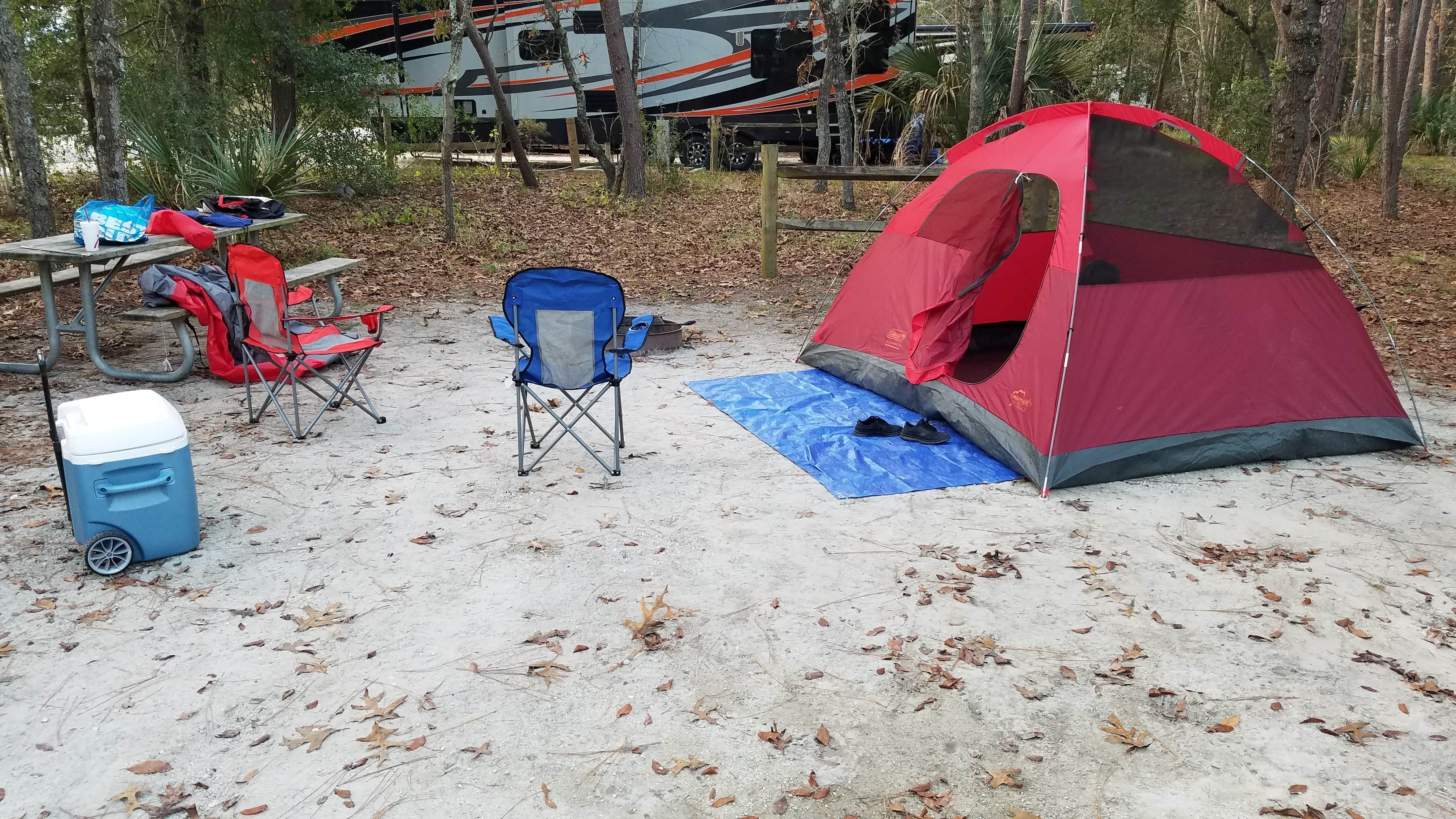 A Guy from Earth's photo at Wekiwa Springs State Park Campground near Lake Mary, FL