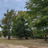 Review photo of North Bend Park by Christine P., October 5, 2021