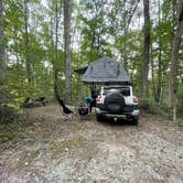 Review photo of Chestnut Creek Campground by Georgina , October 5, 2021