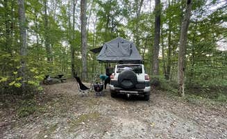 Georgina's photo of tent camping at Chestnut Creek Campground near Meadow Creek, WV