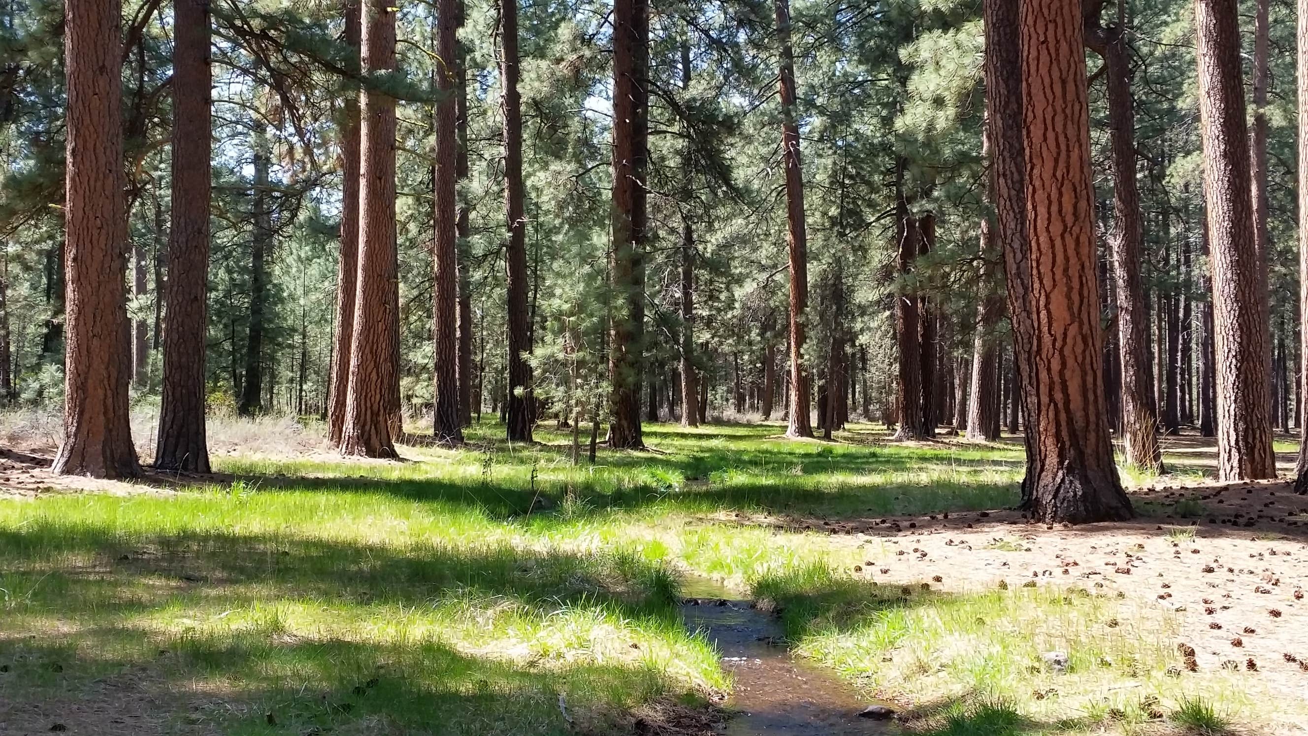 Nature