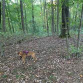 Review photo of Chestnut Creek Campground by Georgina , October 5, 2021