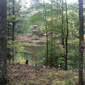 Review photo of Lake Dubonnet State Forest Campground by Justin C., October 5, 2021