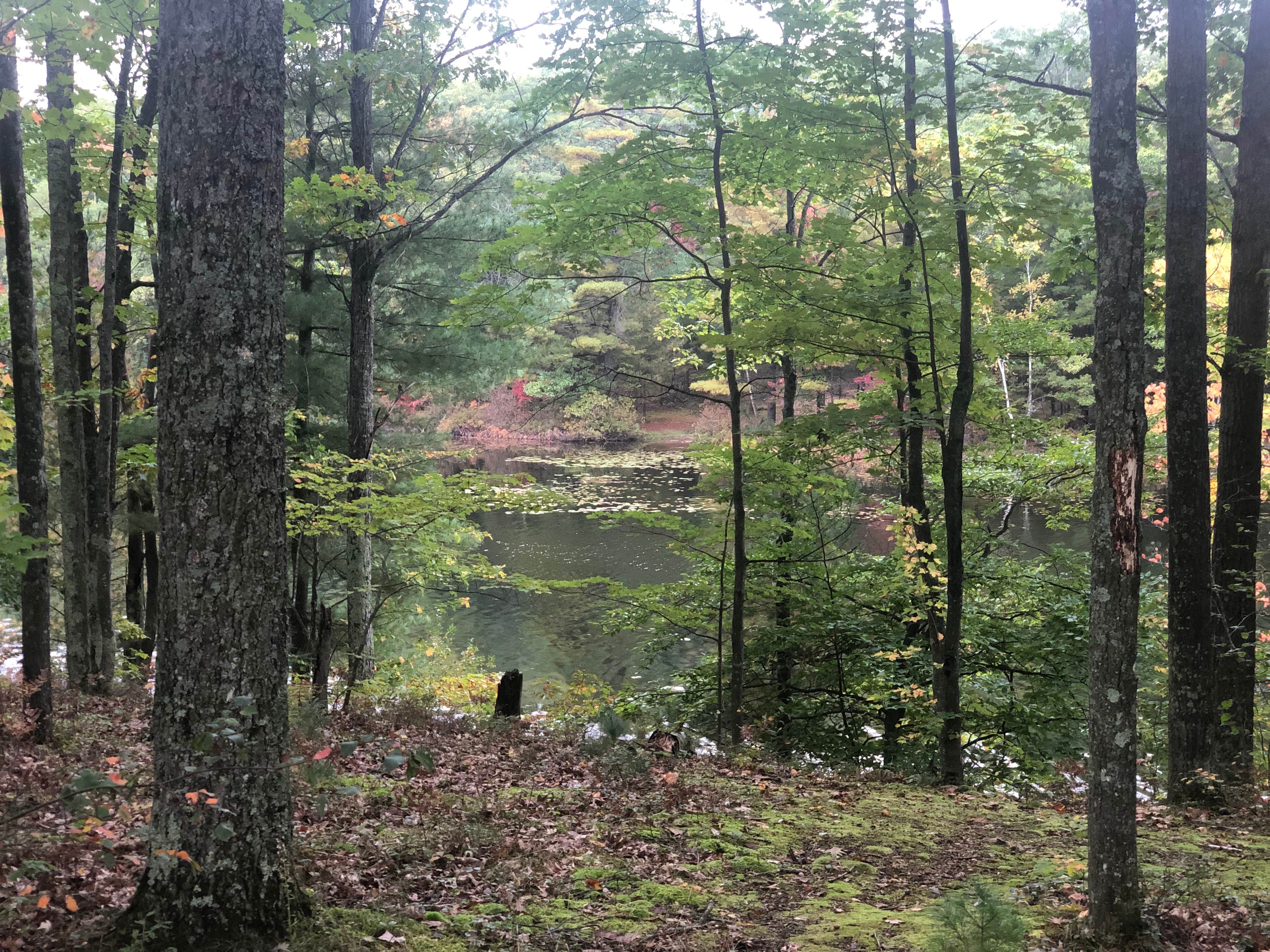 Camper submitted image from Lake Dubonnet State Forest Campground - 4