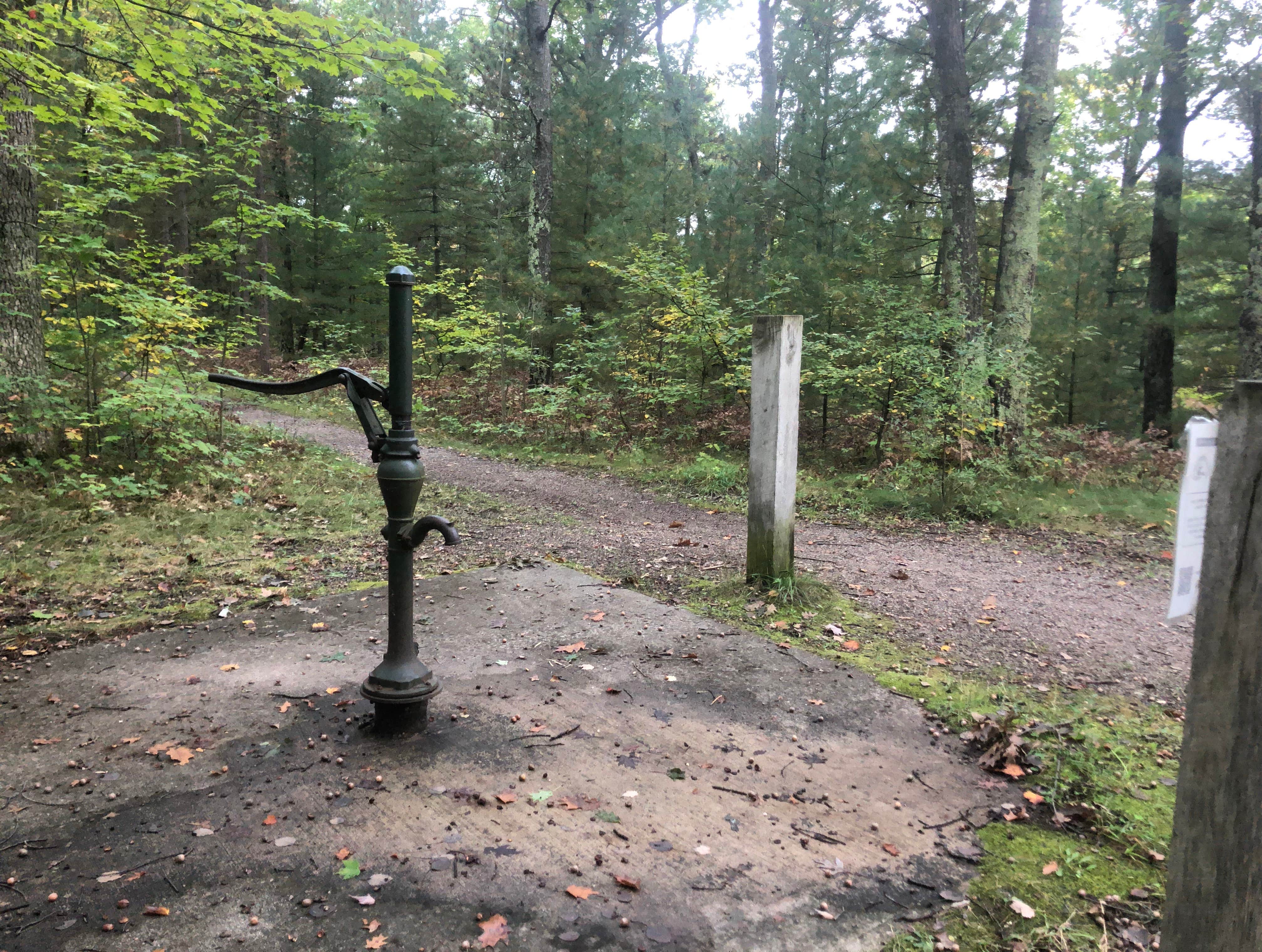 Camper submitted image from Lake Dubonnet State Forest Campground - 4
