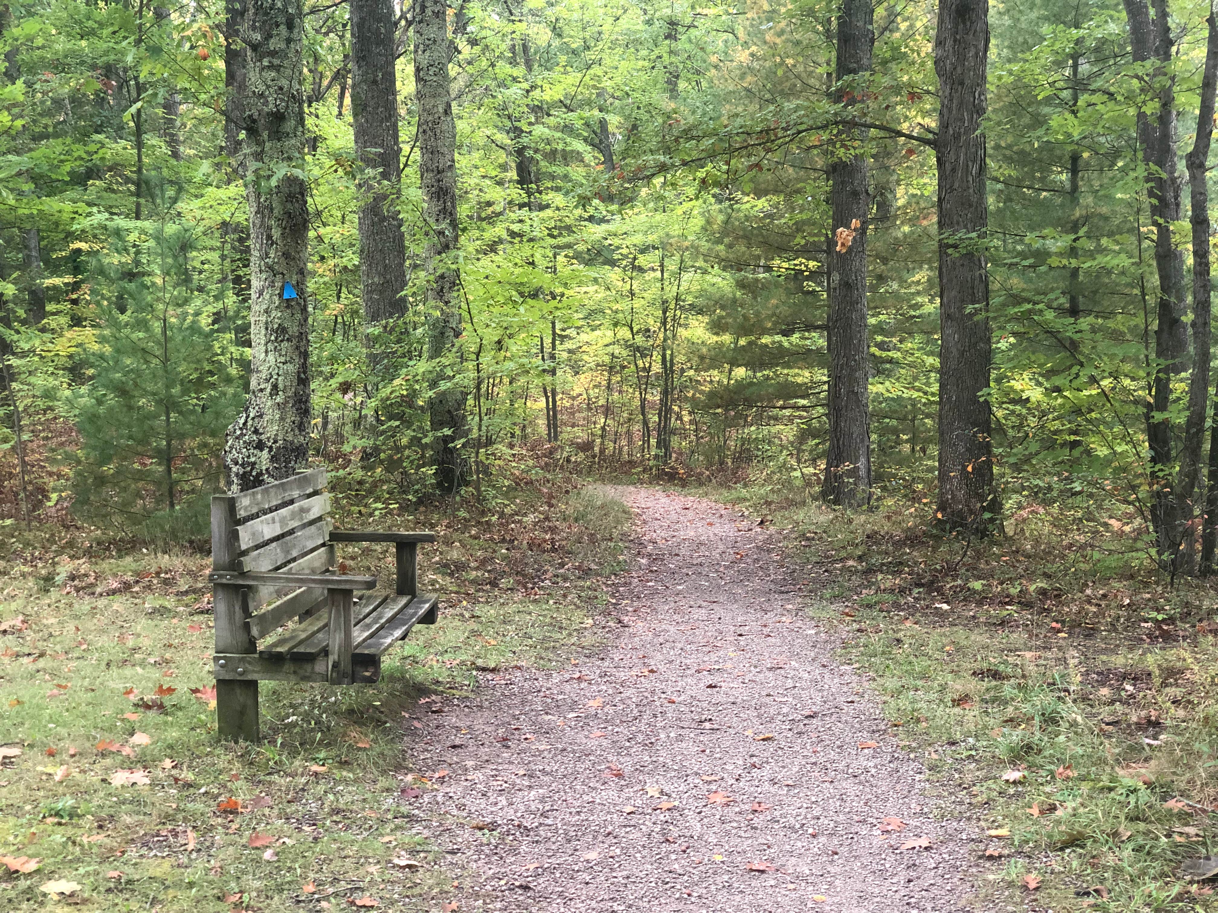 Camper submitted image from Lake Dubonnet State Forest Campground - 5