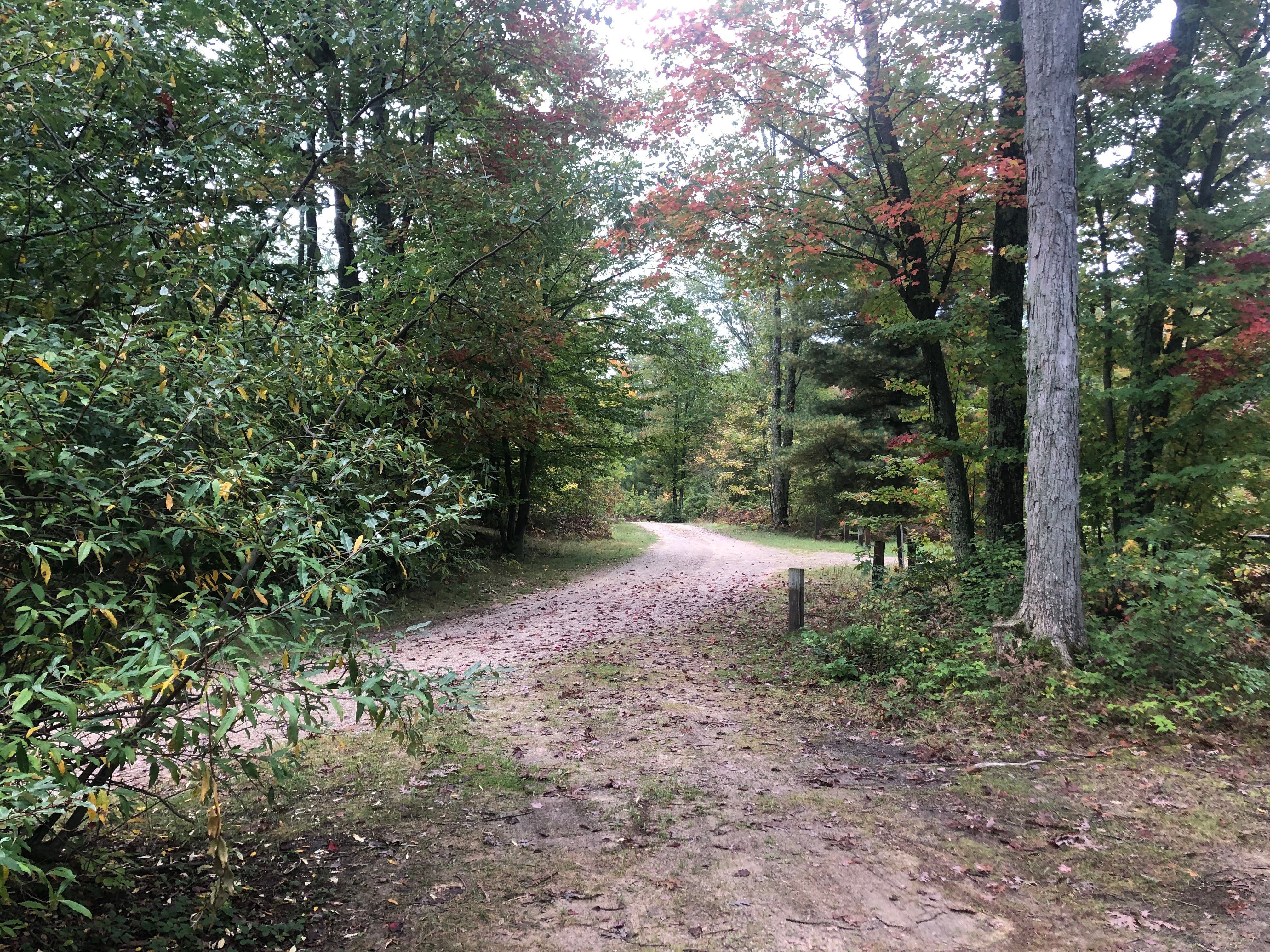Camper submitted image from Lake Dubonnet State Forest Campground - 2