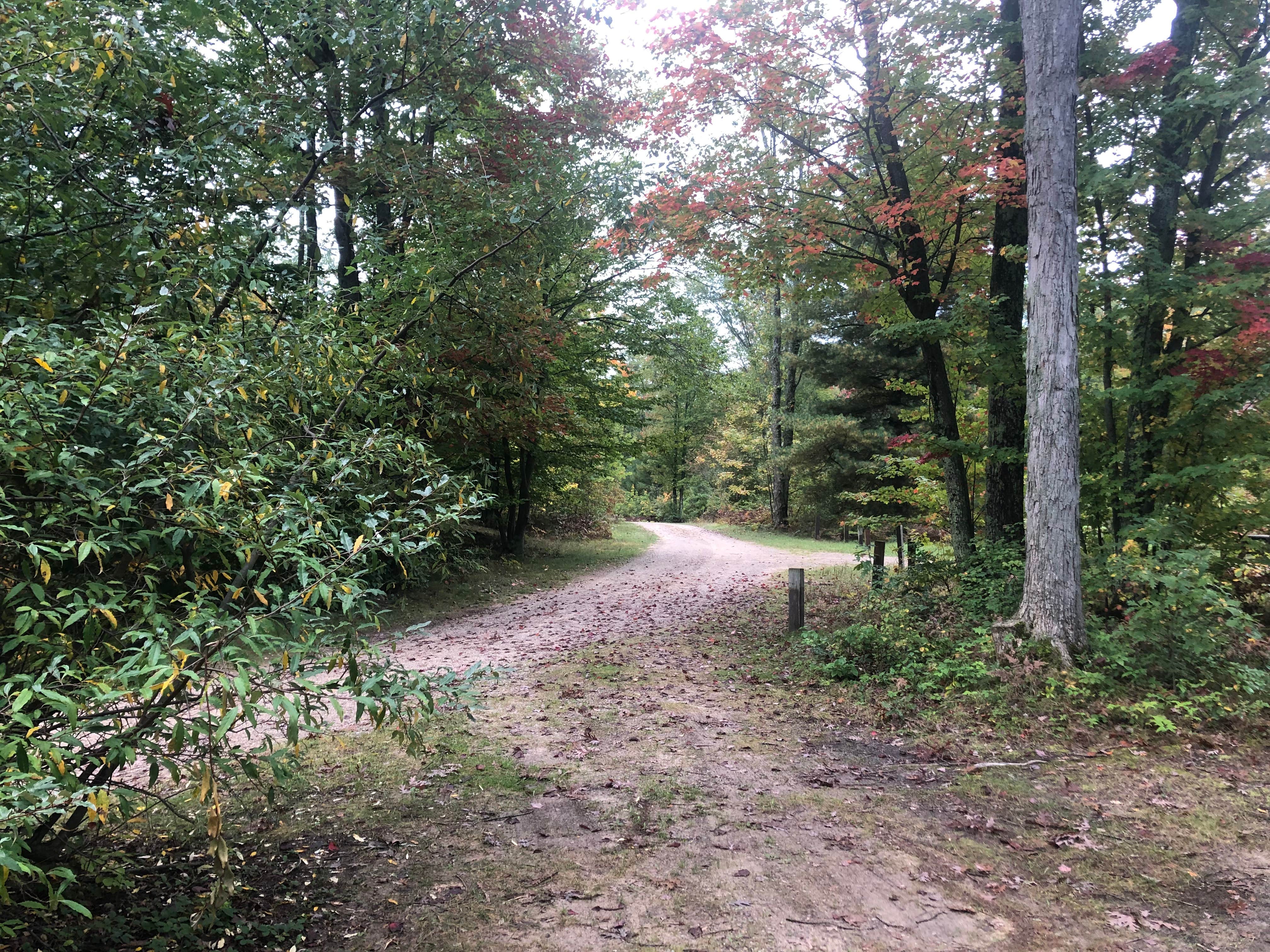 Lake State Forest Campground Interlochen, MI