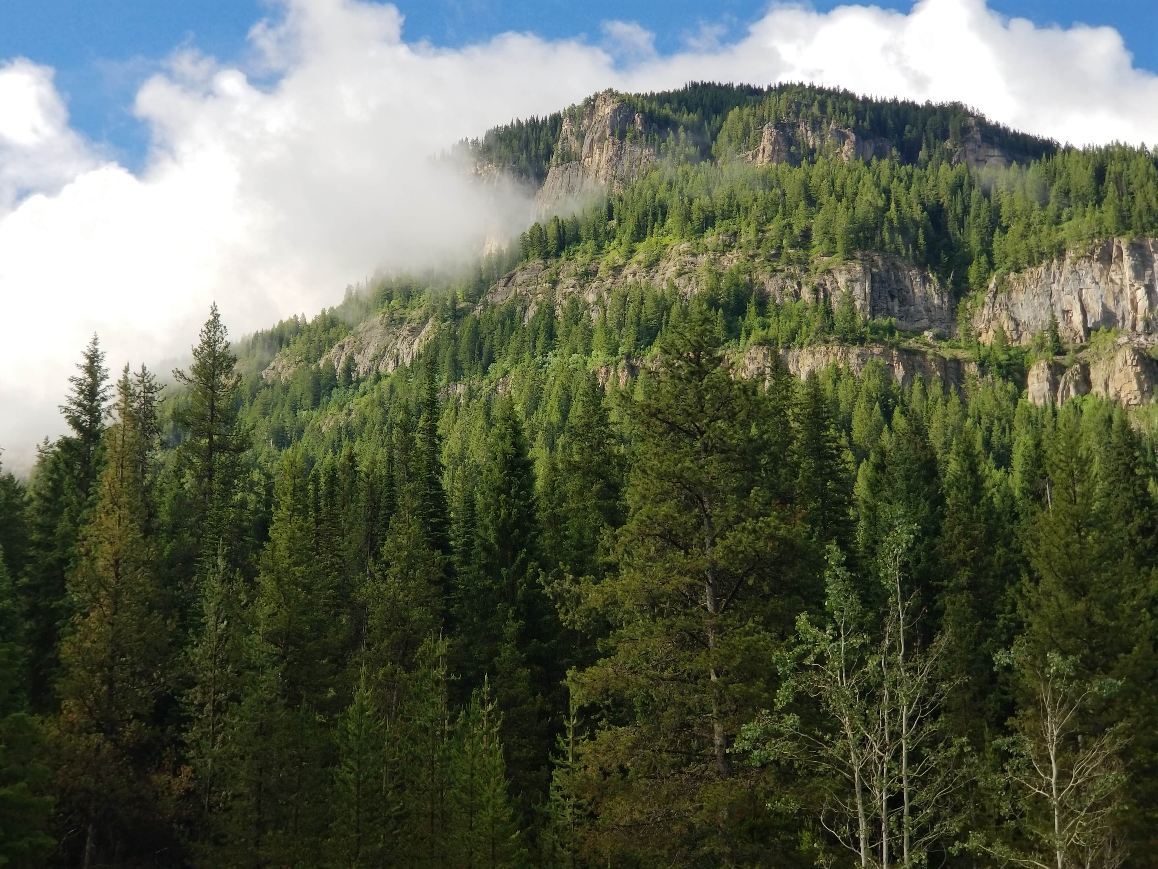 Camper submitted image from Teton Canyon - 2