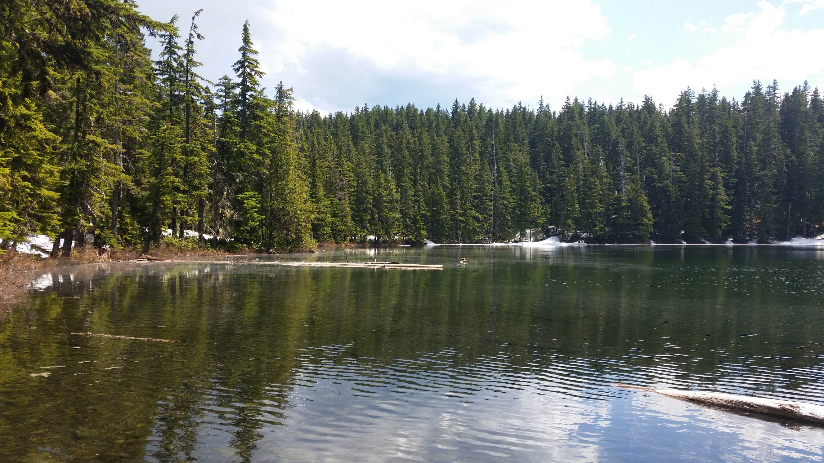 Camper submitted image from Hideaway Lake Campground - Mt. Hood National Forest - 3