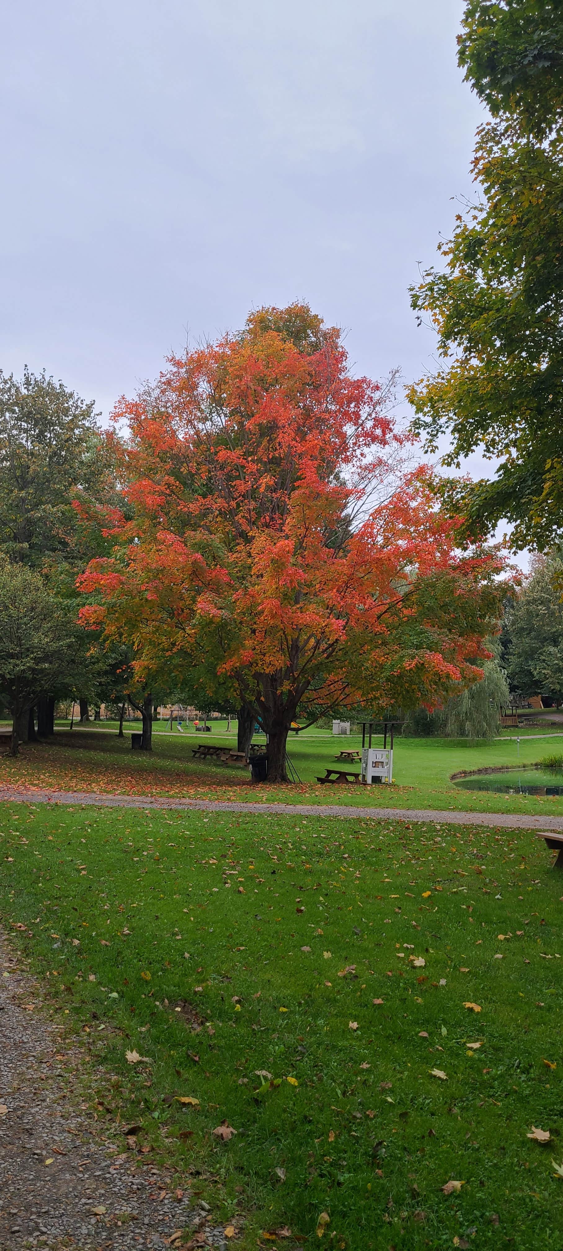 Camper-submitted photo at Lake Chalet Motel and Campground near Waterville, NY