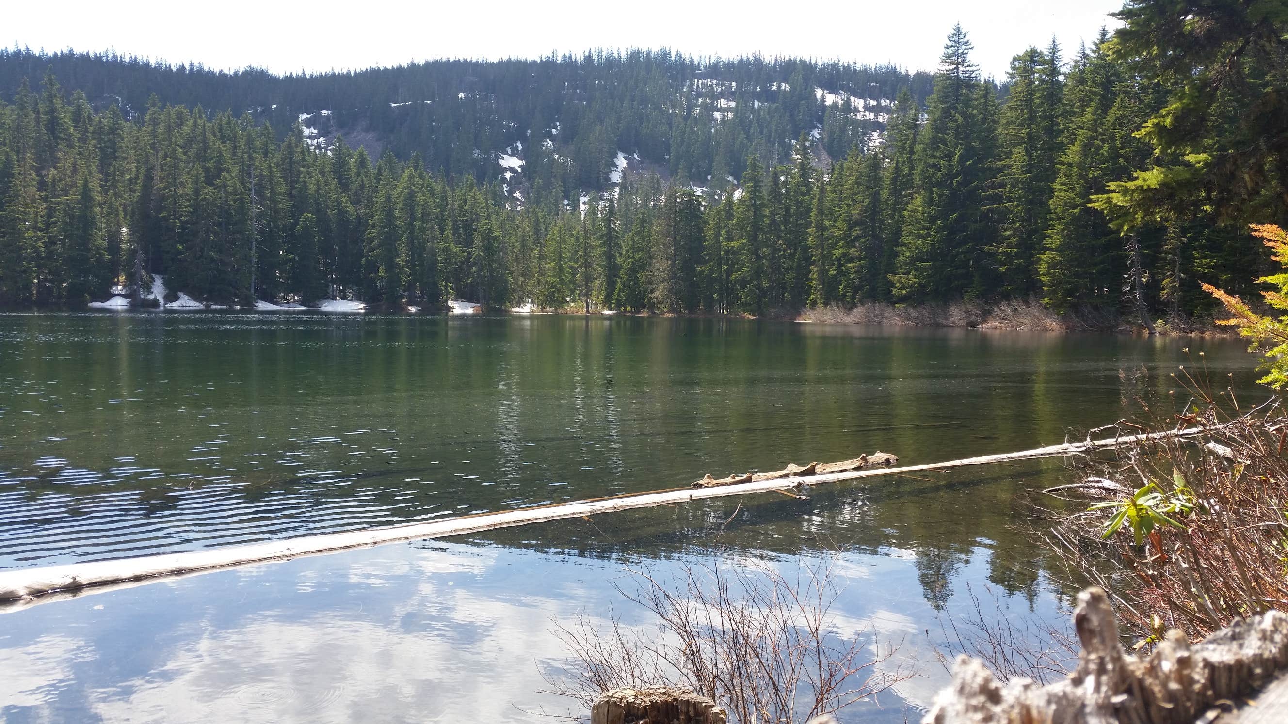 Camper submitted image from Hideaway Lake Campground - Mt. Hood National Forest - 2