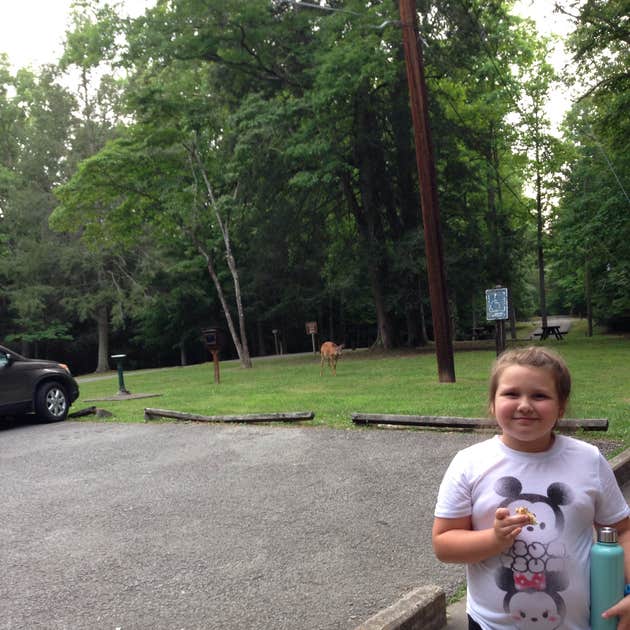 Breaks Interstate Park Camping The Dyrt