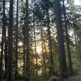 Review photo of Sequim Bay State Park Campground by Eric , October 5, 2021