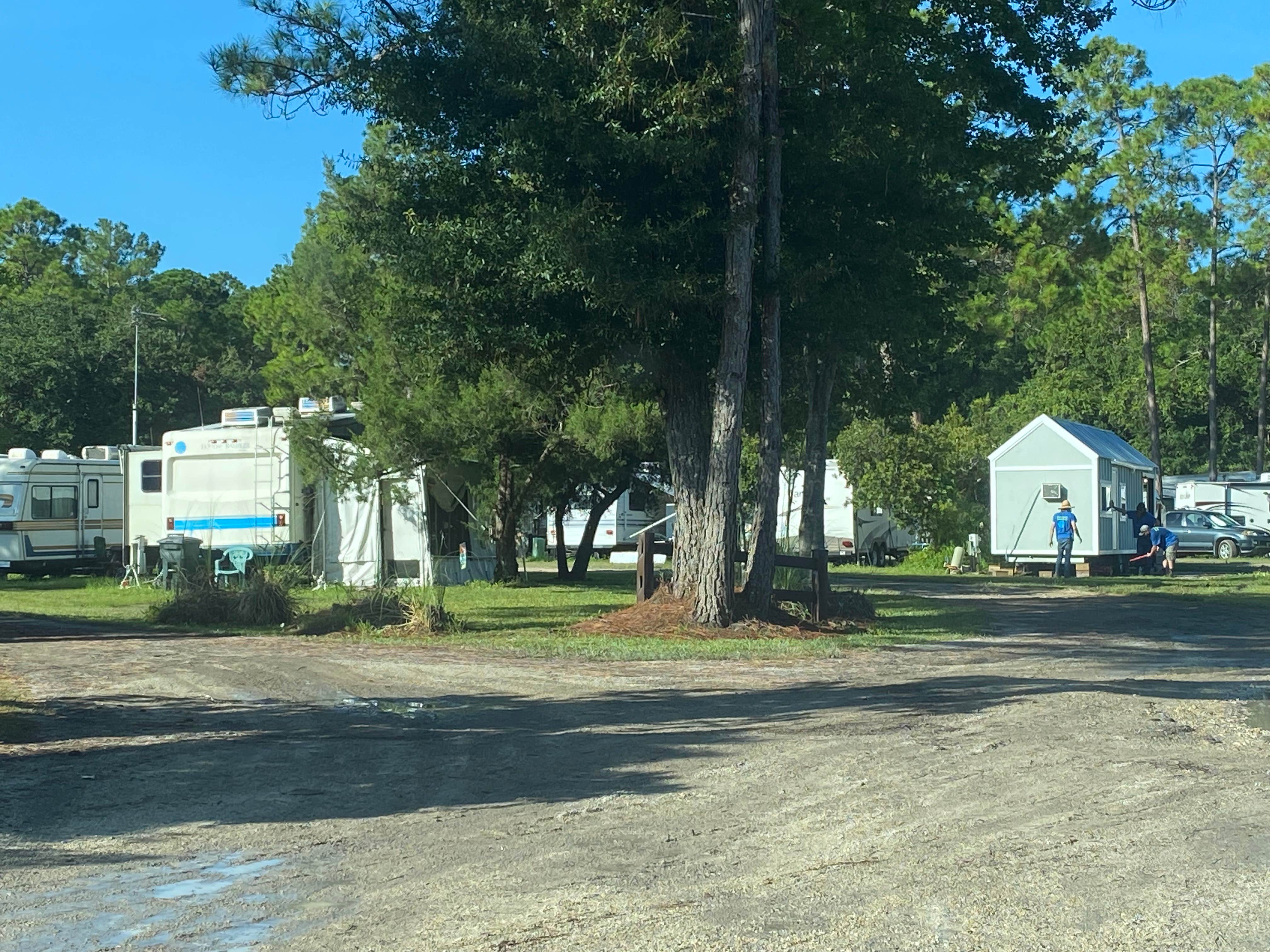 Camper submitted image from Smiling Gator RV Park - 2