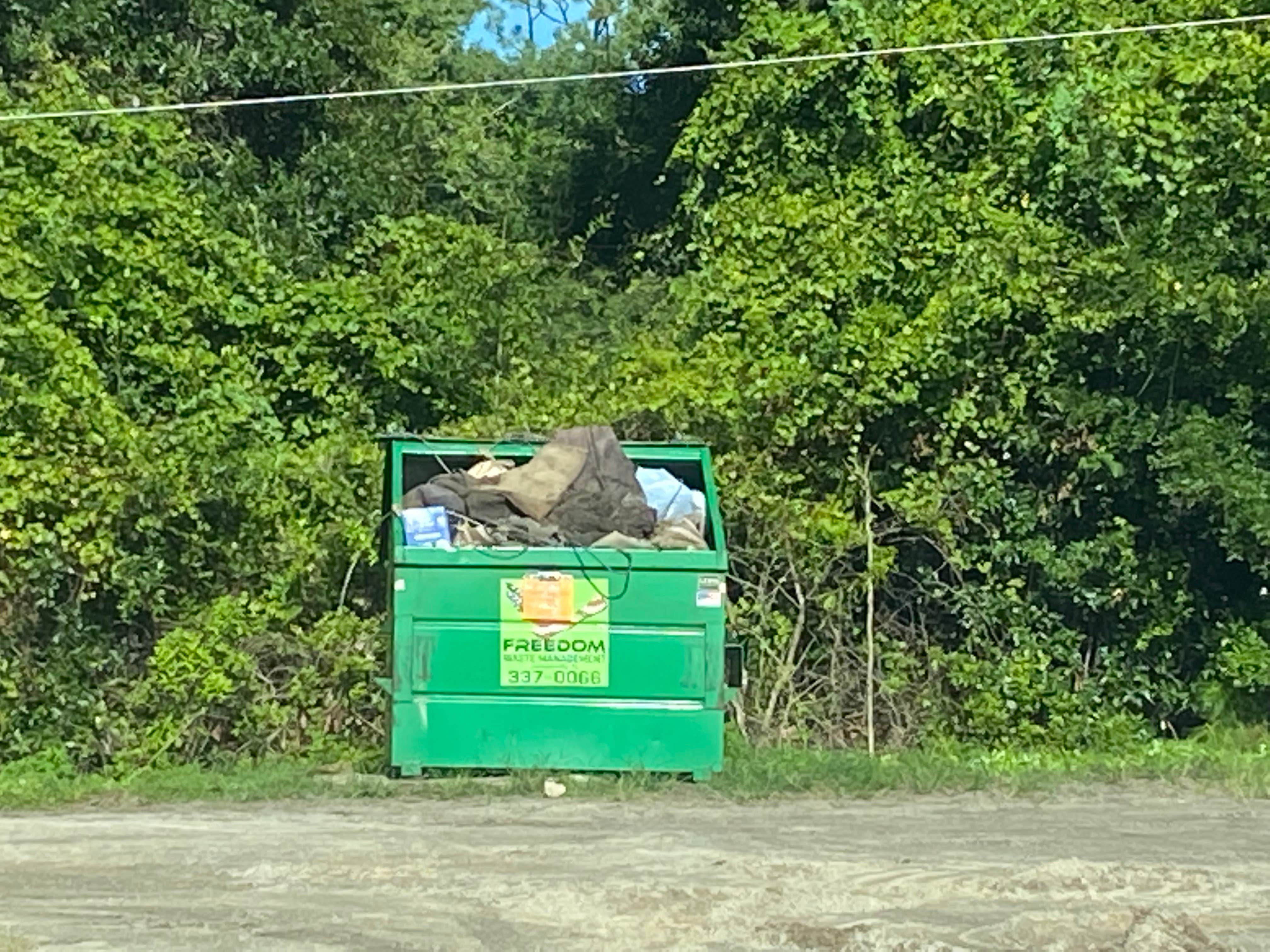 Camper submitted image from Smiling Gator RV Park - 2