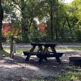 Review photo of Country Oaks Campground & RV Park by Stuart K., October 5, 2021