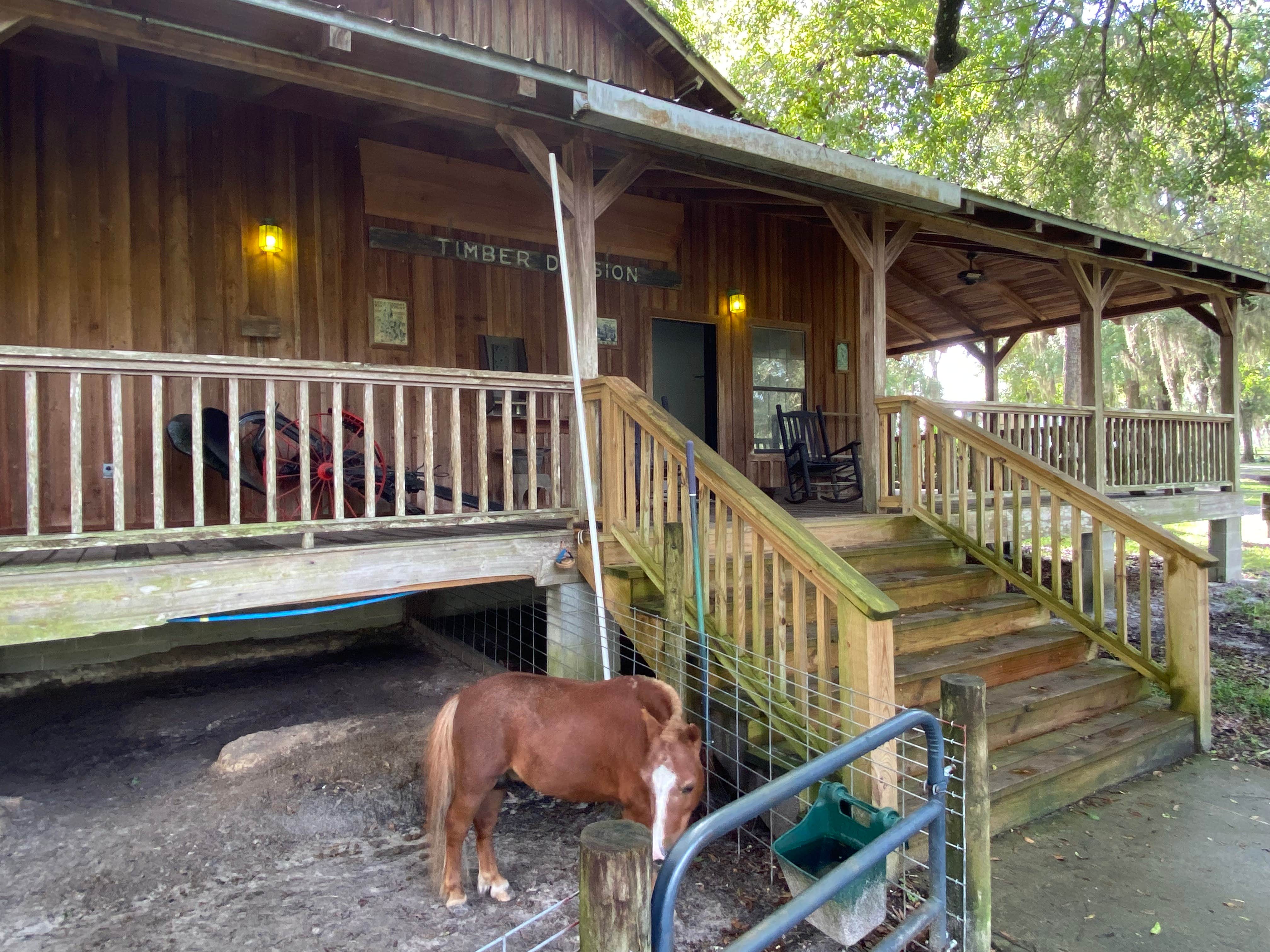 Stuart K.'s photo of camping with pets at Country Oaks Campground & RV Park near Brunswick, GA